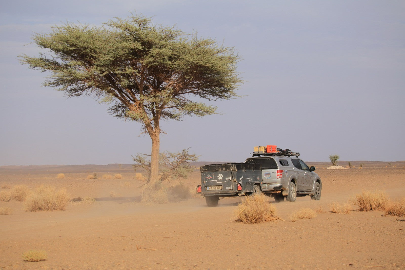 Offroad Anhänger, der von einem Geländewagen durch das Outback, neben einem großem Baum gezogen wird