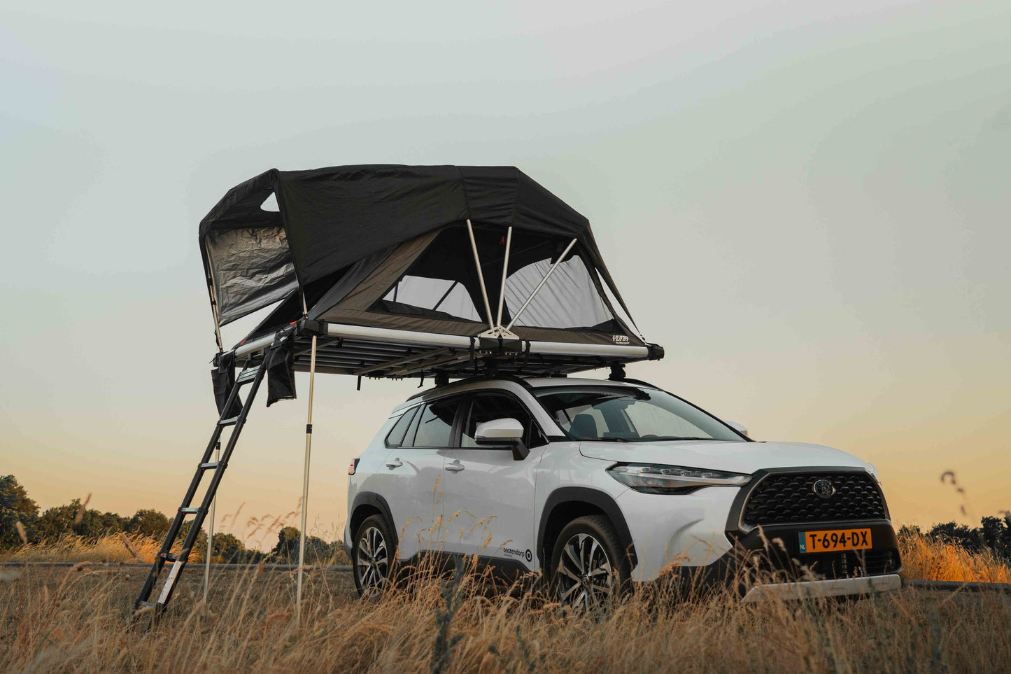 Aufgeklapptes Familien-Dachzelt auf einem Auto, draußen auf einer Wiese